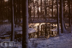 25.12.1986. Park w Radwanicach, widok na zamarznięty staw